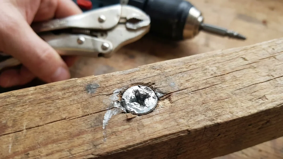 Close-up de um parafuso Phillips com a cabeça muito espanada cravado em um pedaço de madeira, com uma mão segurando um alicate de pressão e uma furadeira com extrator ao fundo.